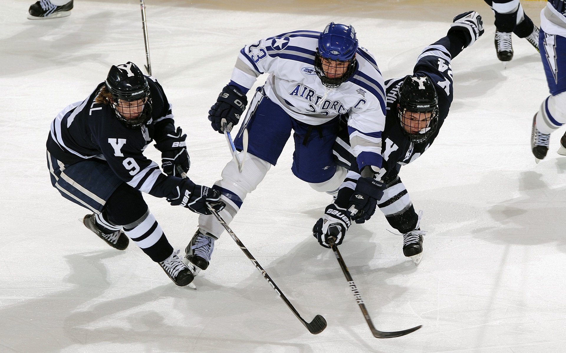 后备力量逐渐成型球队未来发展路径日益清晰，后备力量的定义