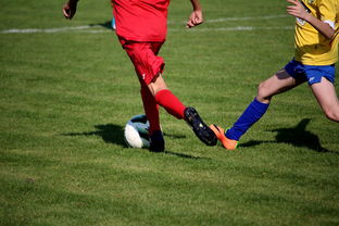 国家体育场馆运营管理论坛探讨智能化方向，国家体育总局体育场馆运营管理办法