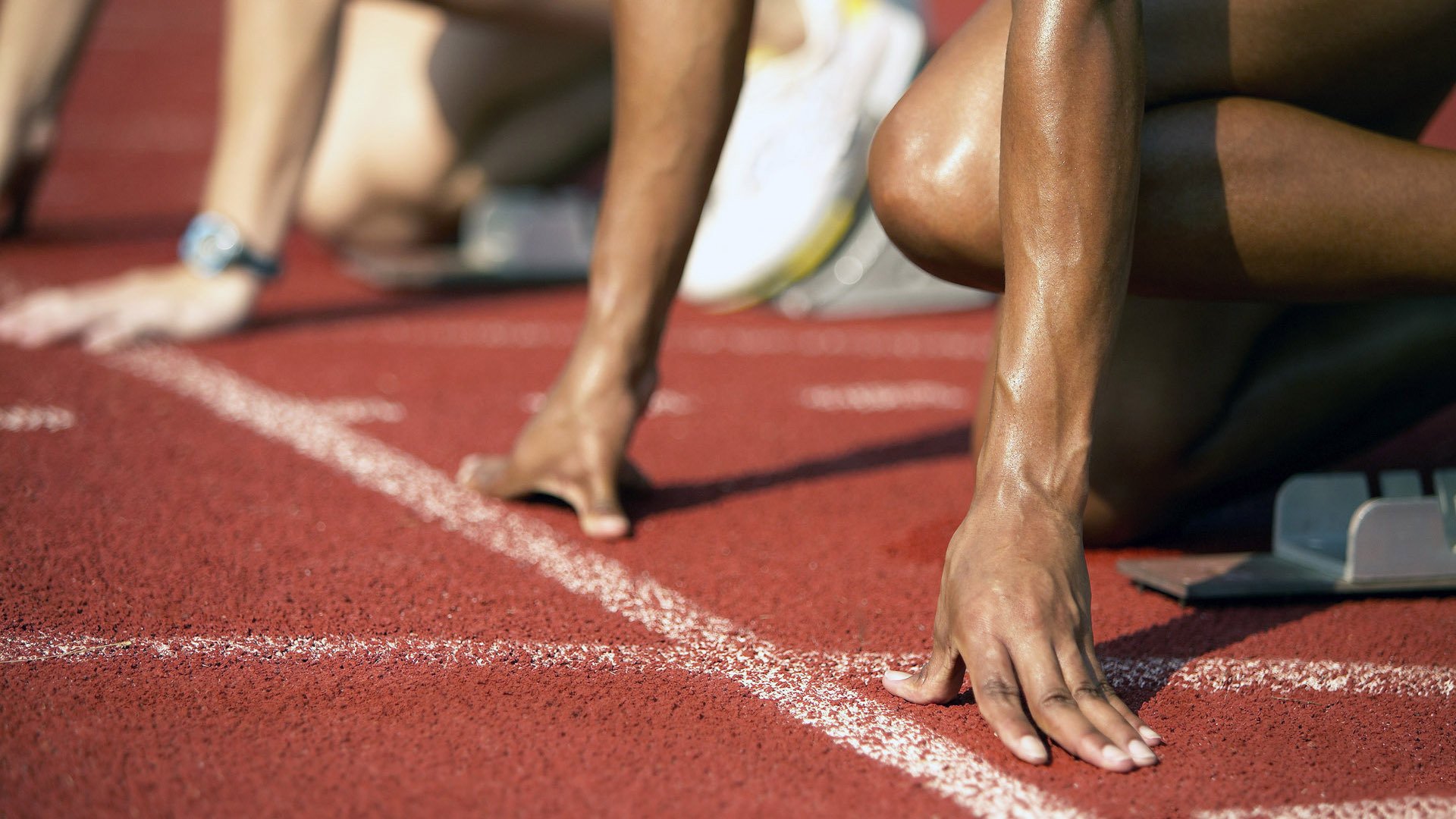 国家体育场馆运营管理论坛探讨智能化方向，国家体育总局体育场馆运营管理办法