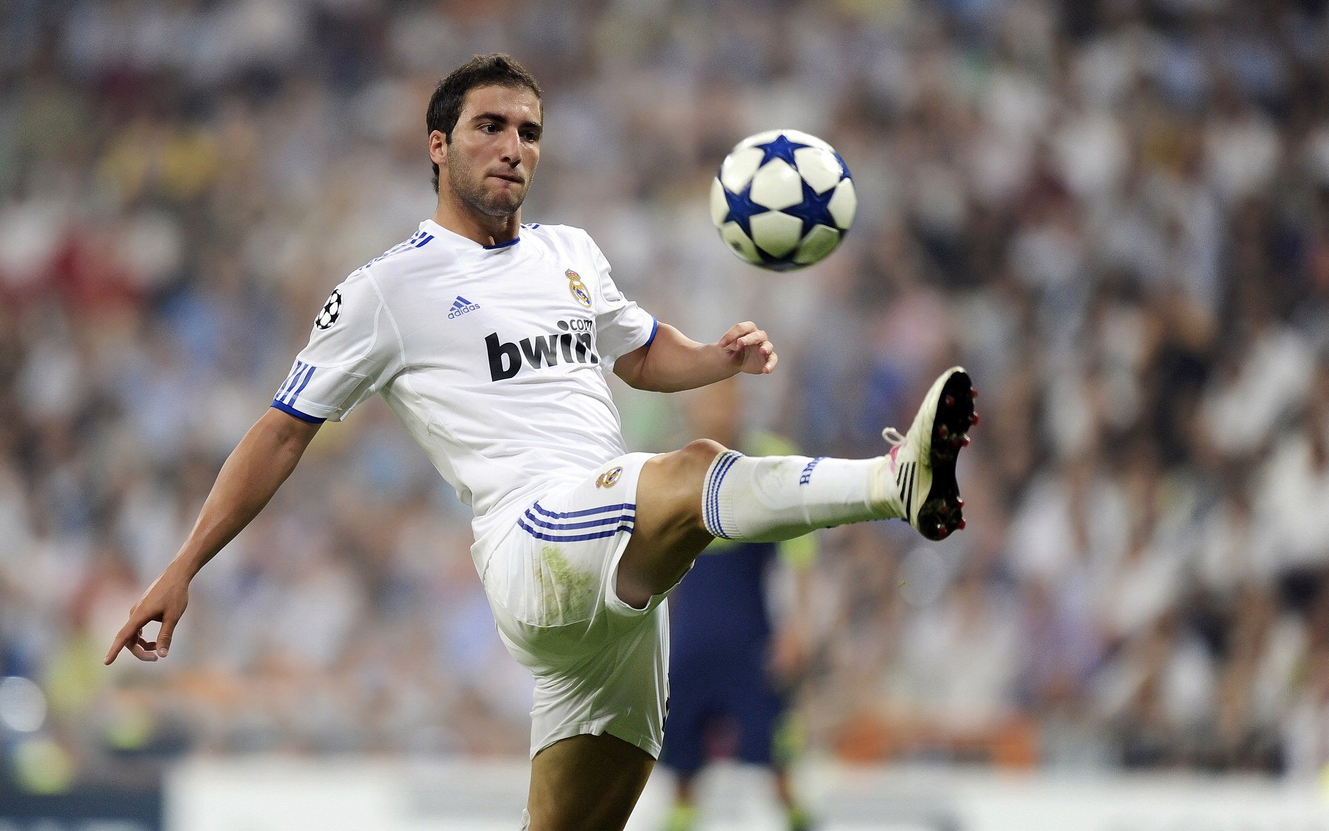 爵士主场战绩提升观众数量增长，爵士目前战绩